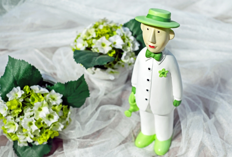 vitrine-ANTIBES-min_man-person-flower-green-toy-fig-546529-pxhere.com